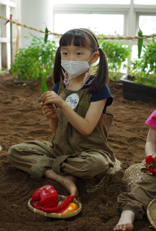 농장 체험 / Farm program