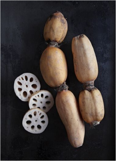 백련근 원물 사진